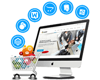 E-Commerce website